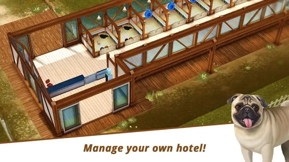 Dog Hotel – Play with dogs